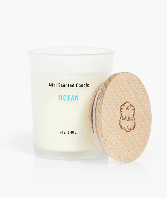 Ocean Mini Scented Candle - 70 g