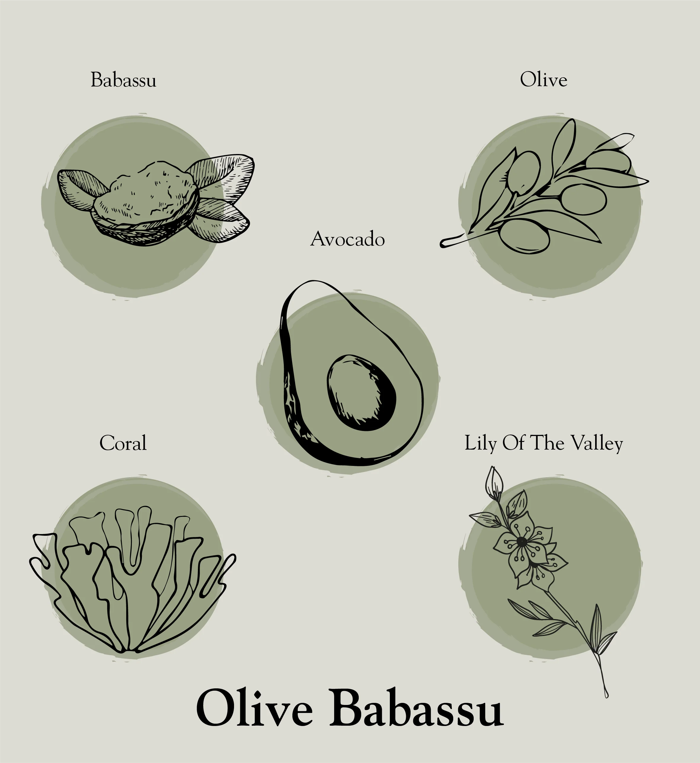 Olive & Babassu Botanical Soothing Balm - 50 g - Image 3